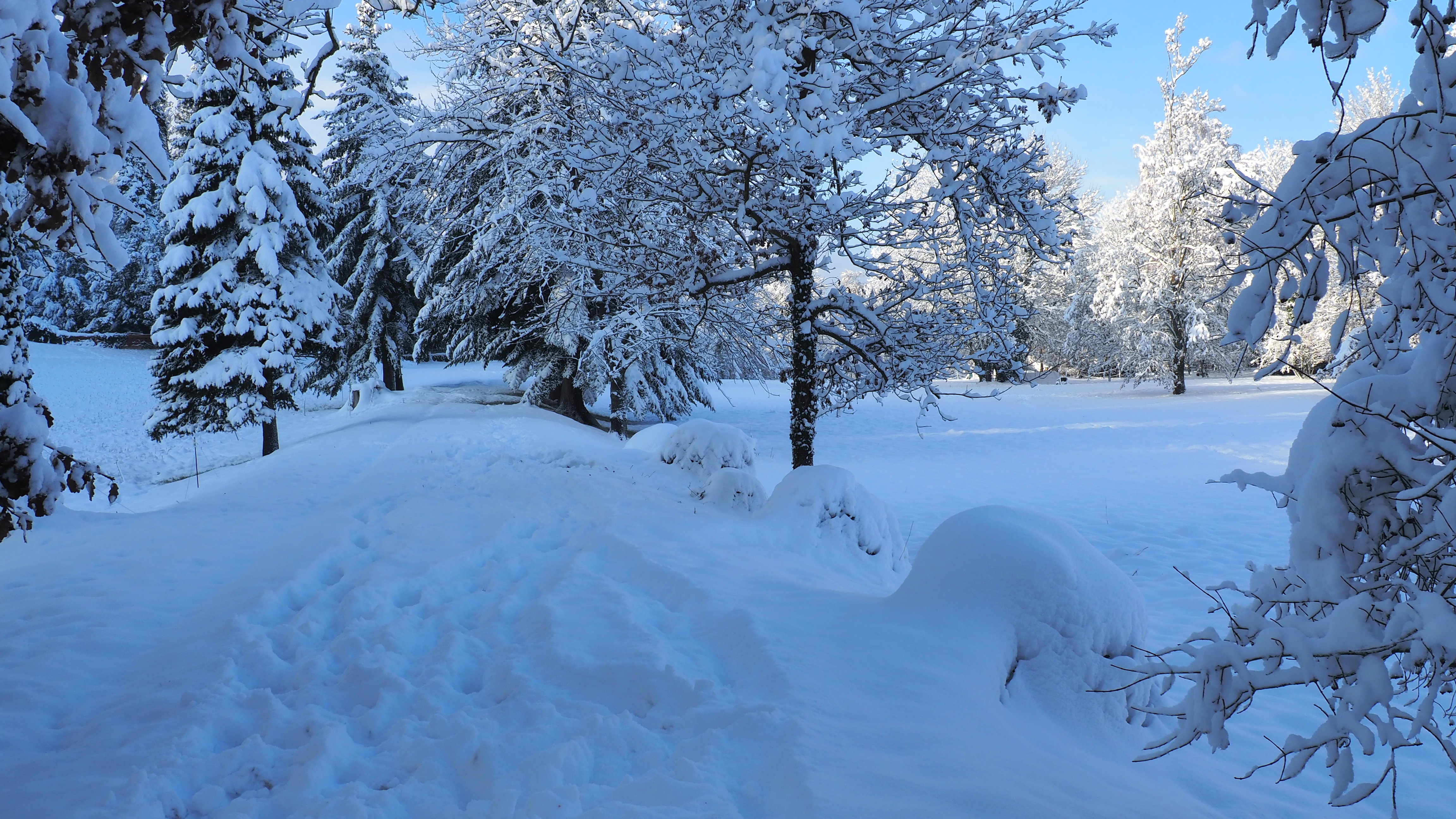 Winter 2020-2021 - It snowed