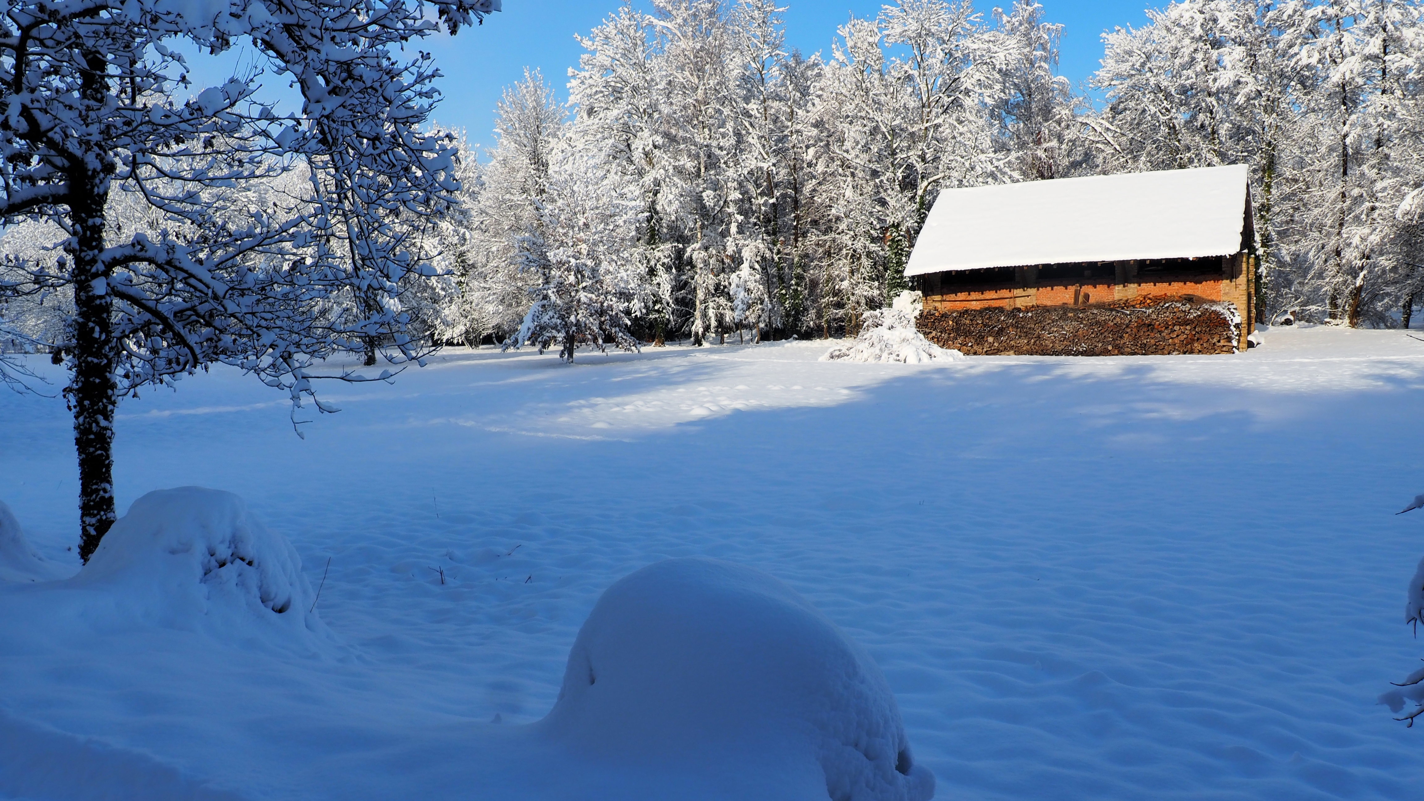 Winter 2020-2021 - It snowed