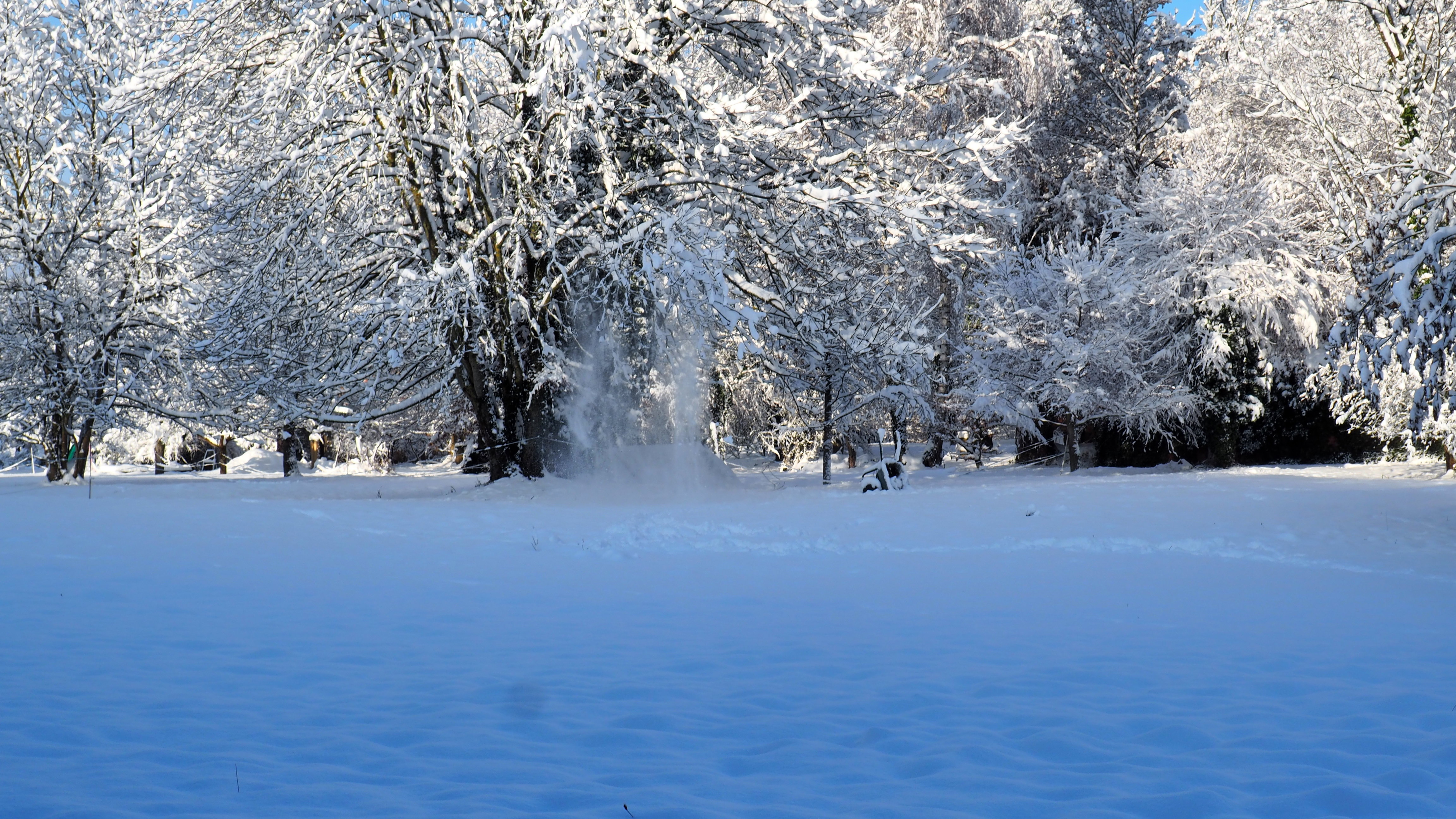 Winter 2020-2021 - It snowed