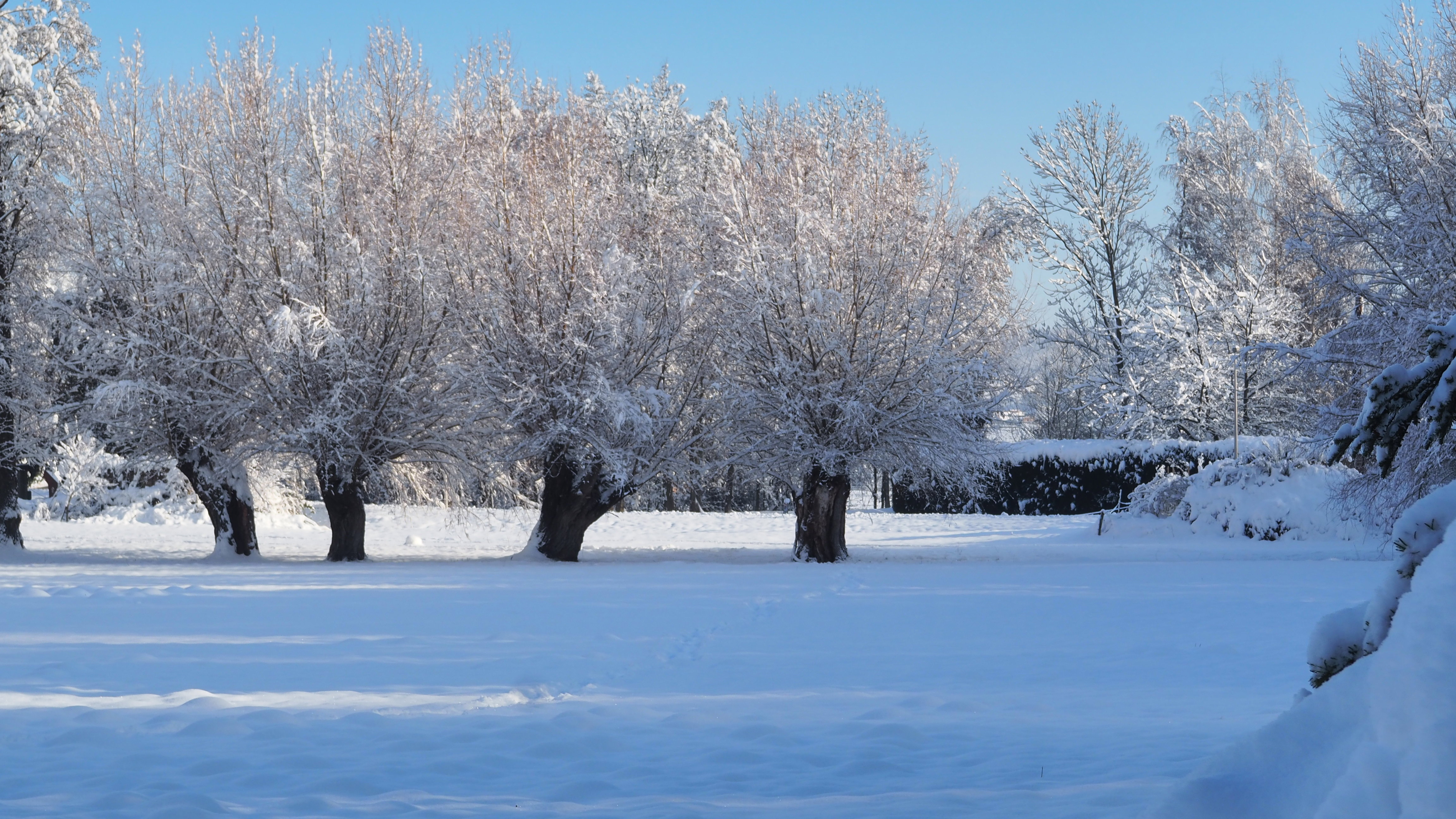 Winter 2020-2021 - It snowed