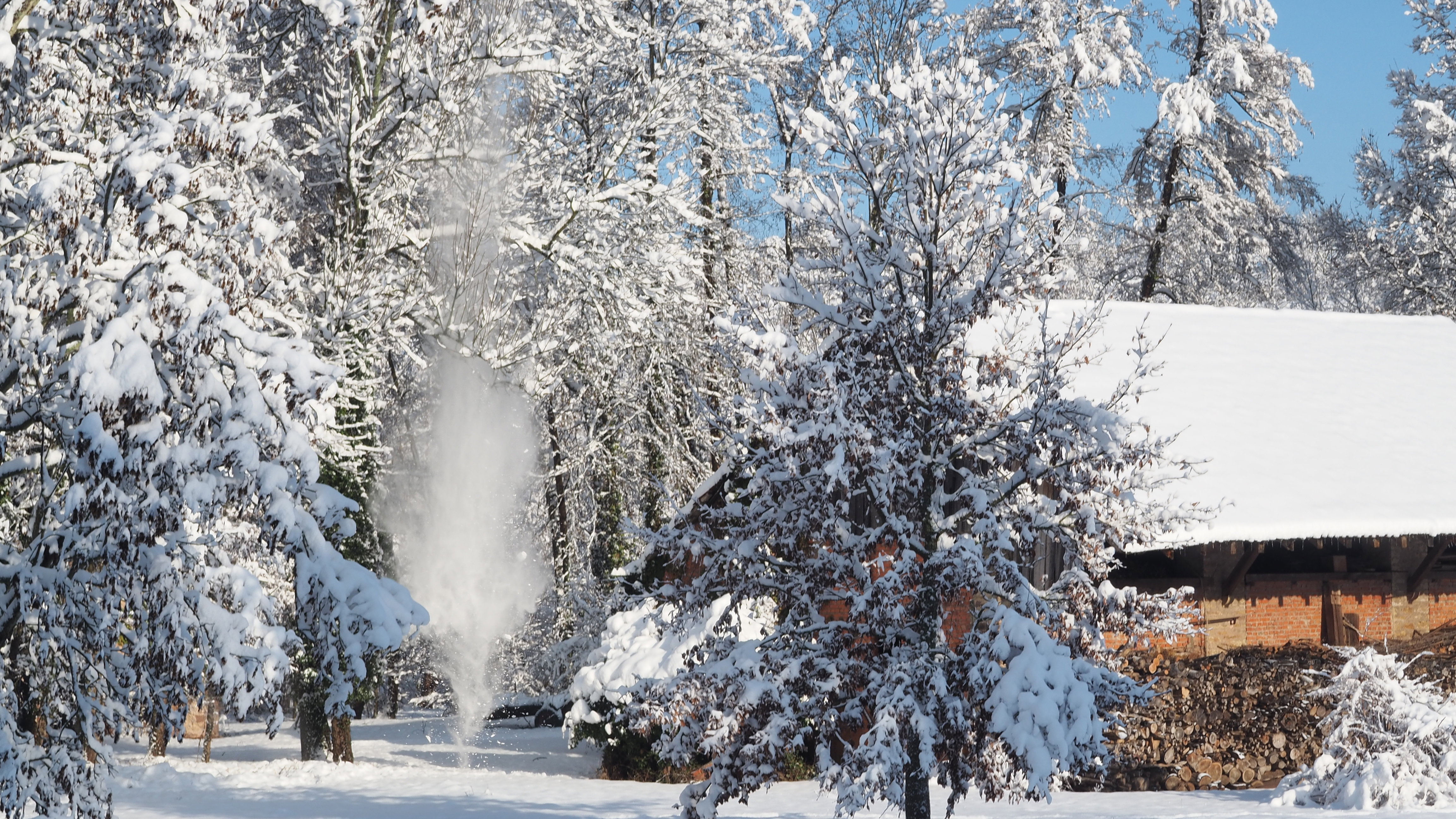 Winter 2020-2021 - It snowed