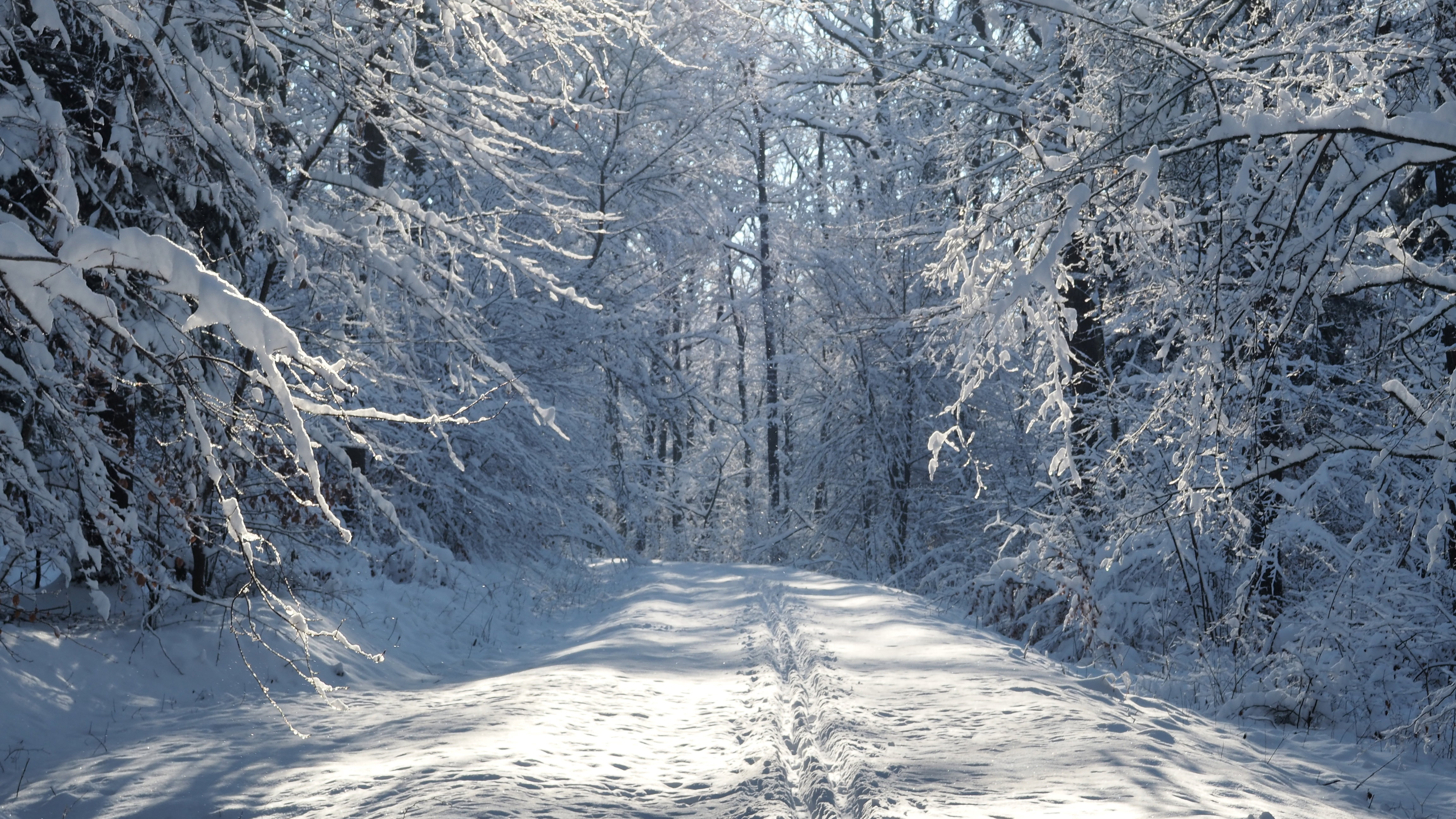 Winter 2020-2021 - It snowed