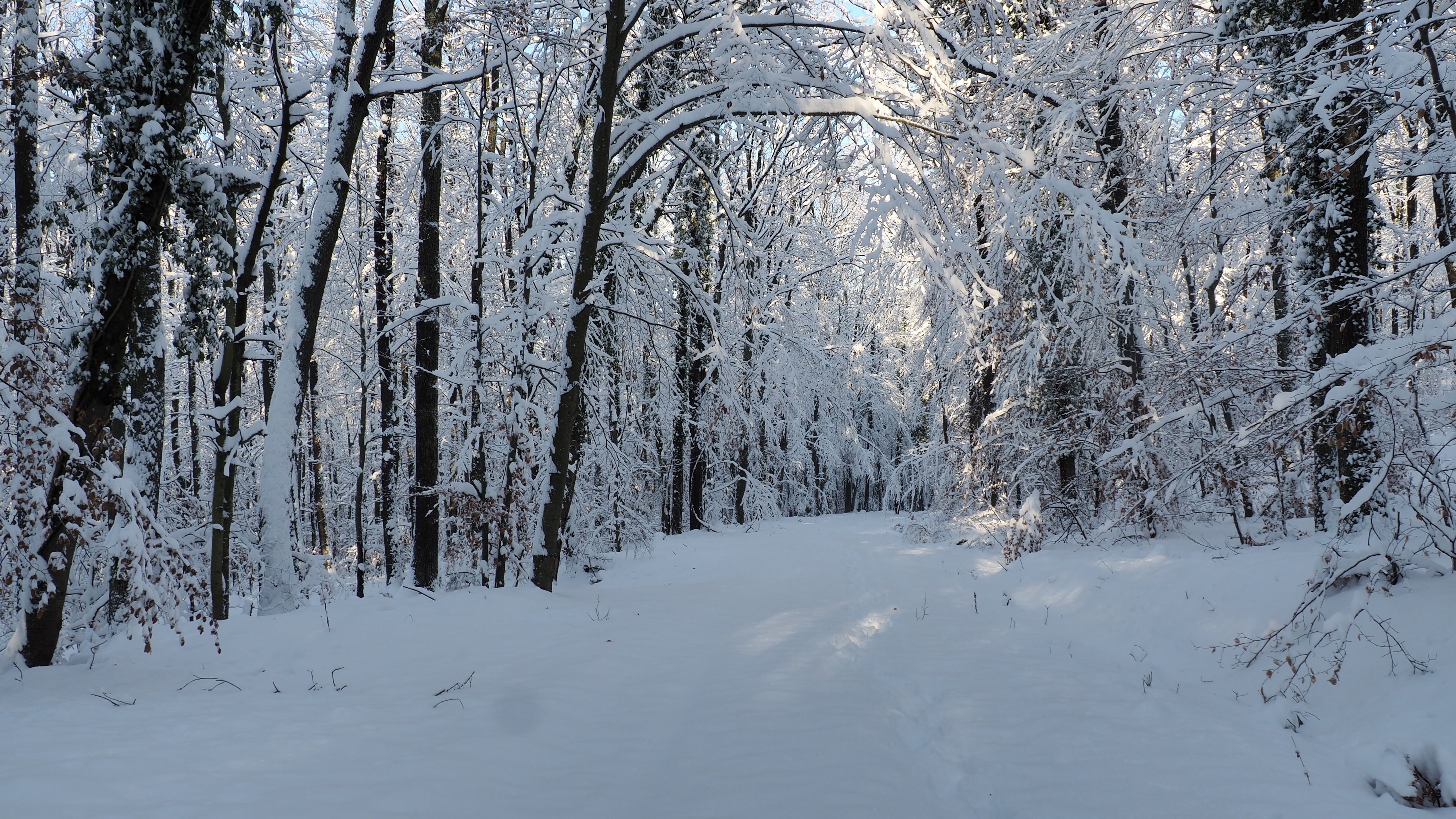 Winter 2020-2021 - It snowed