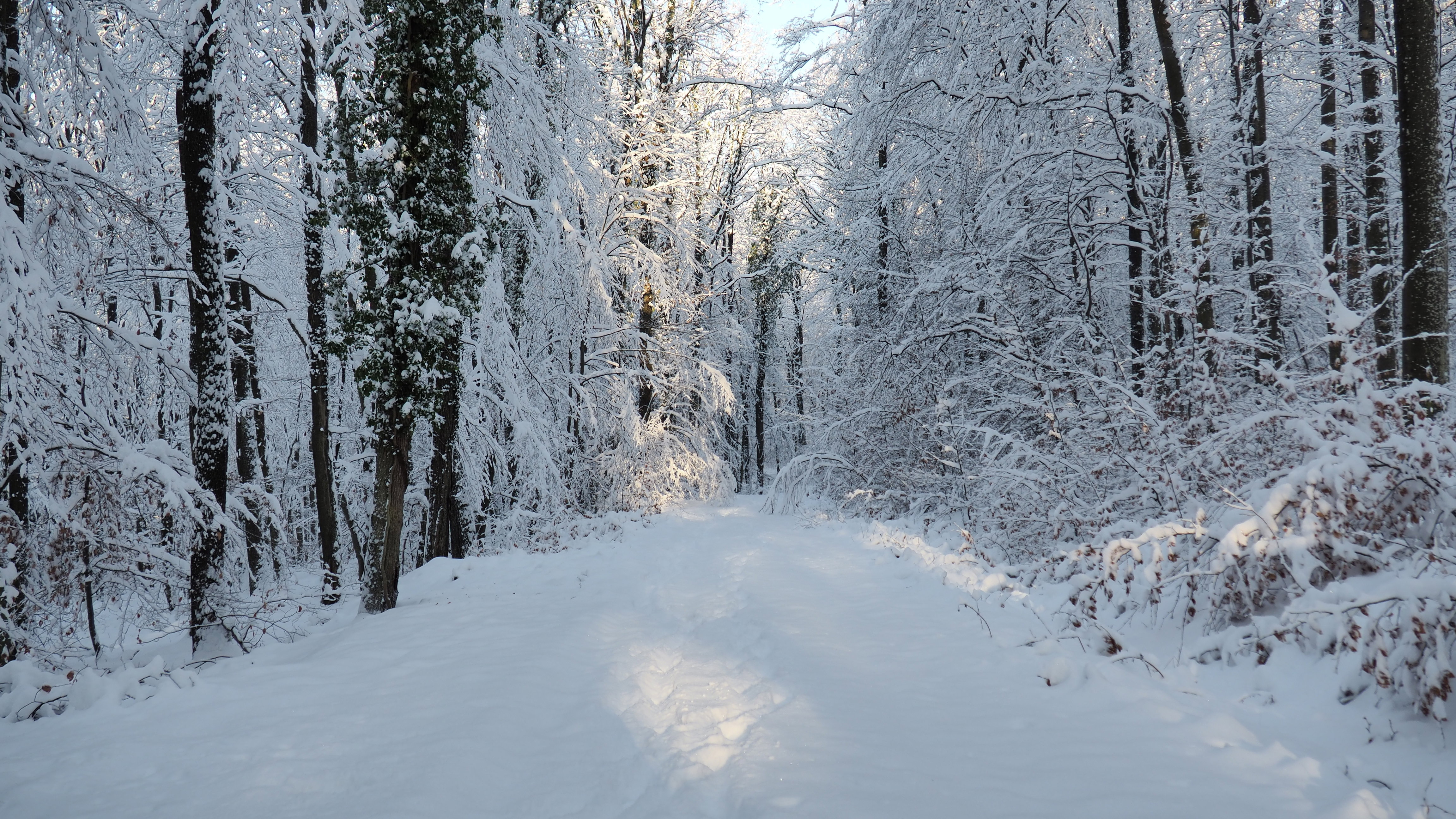 Winter 2020-2021 - It snowed