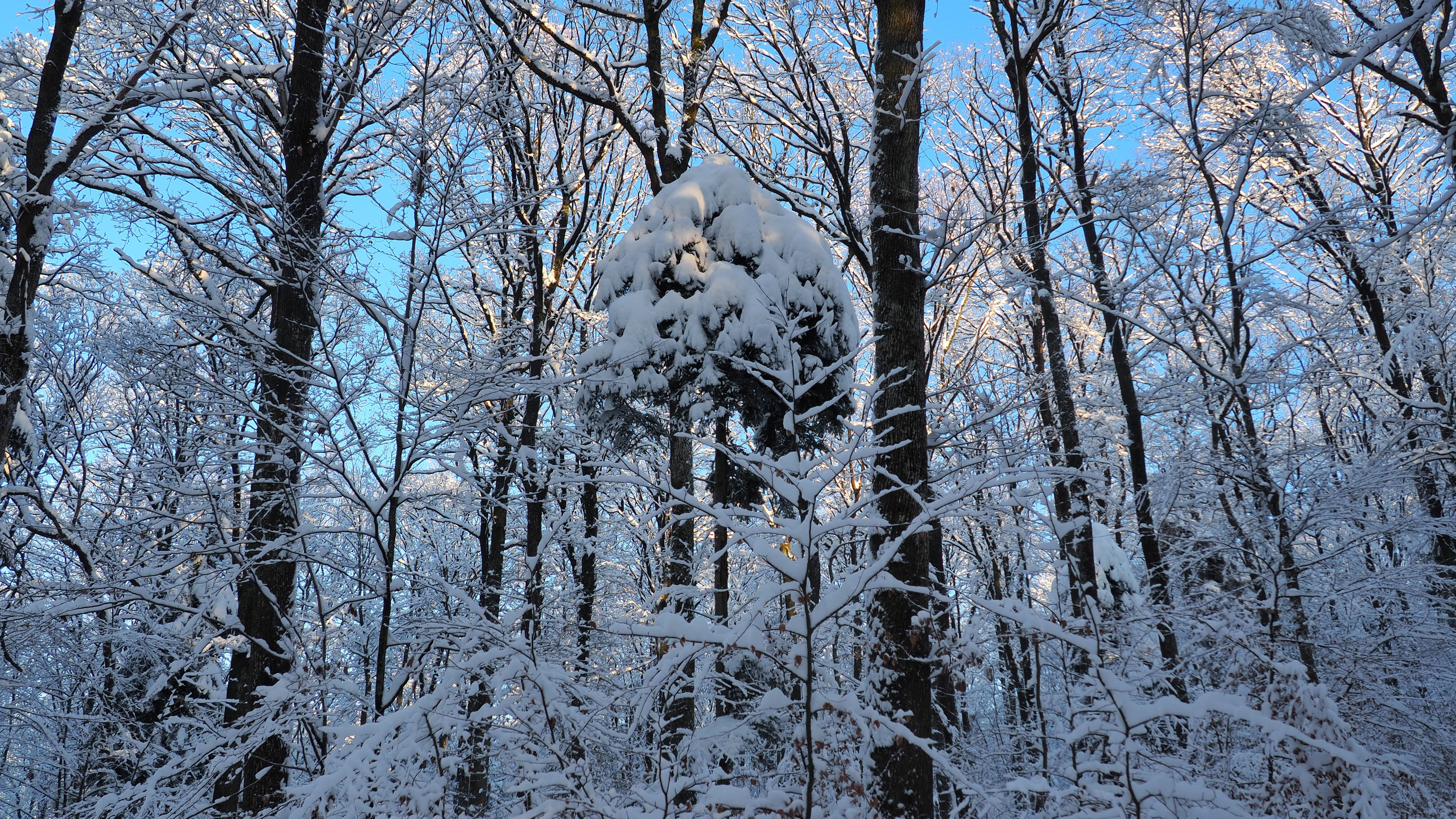 Winter 2020-2021 - It snowed
