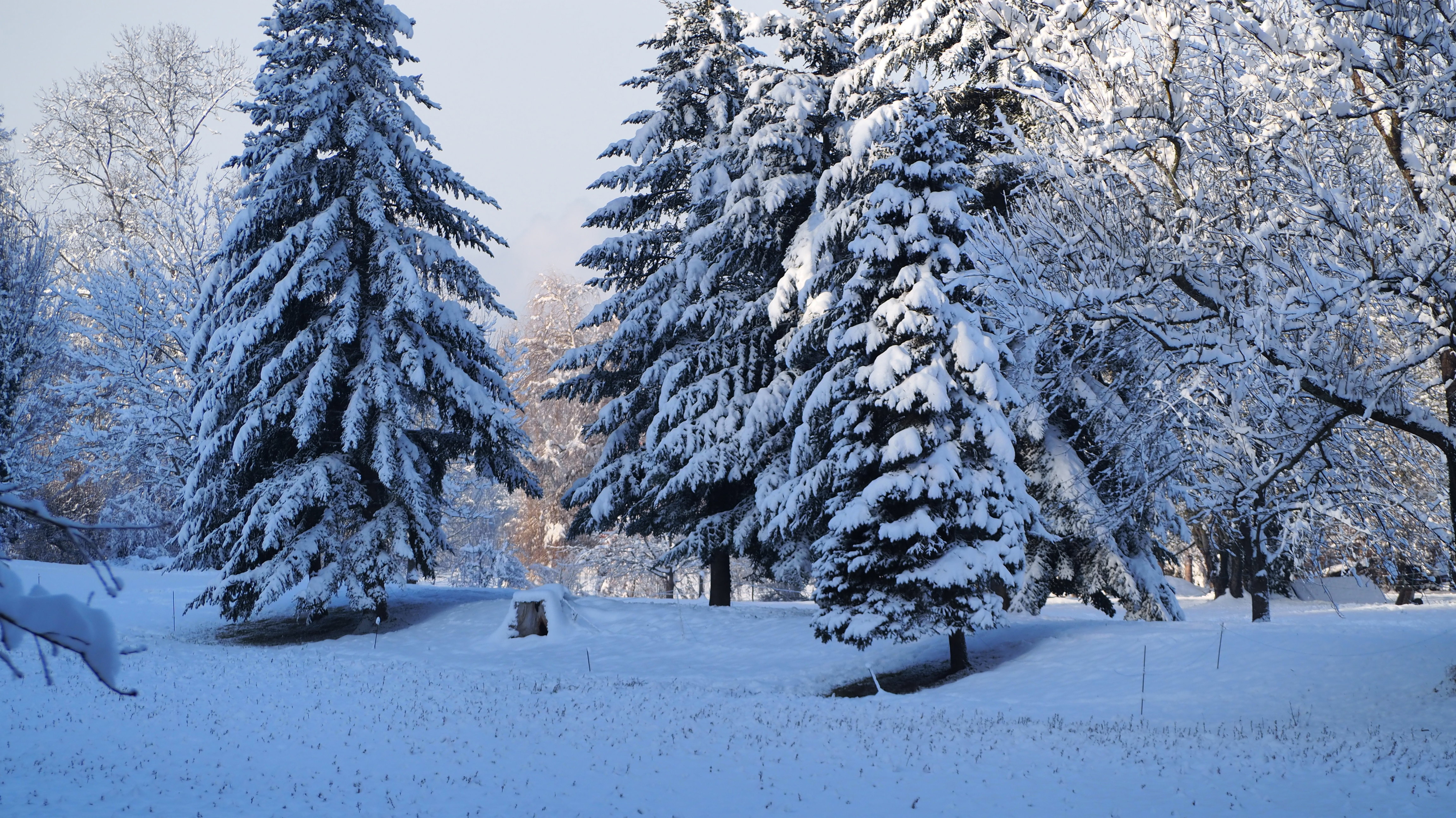 Winter 2020-2021 - It snowed