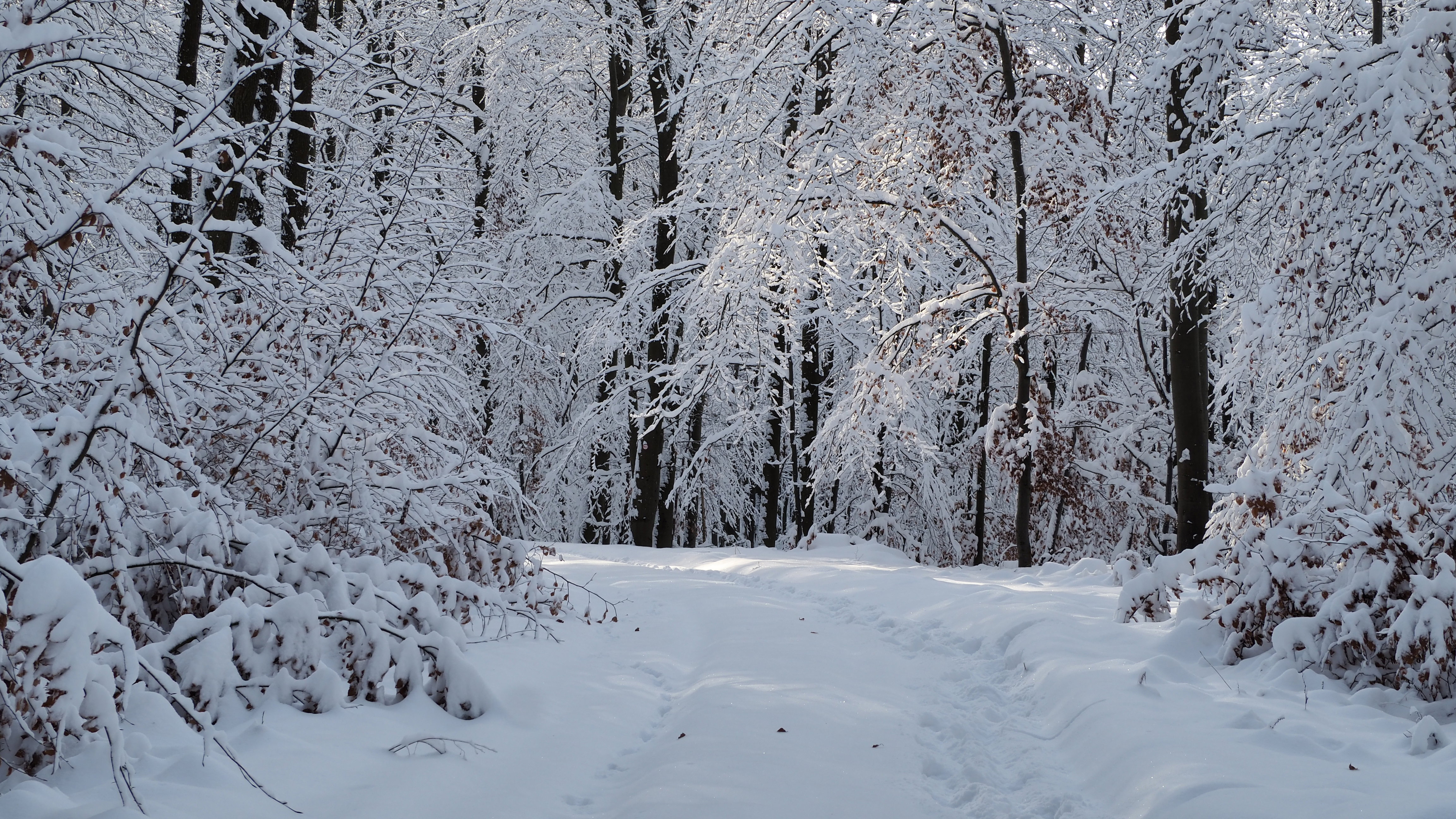 Winter 2020-2021 - It snowed