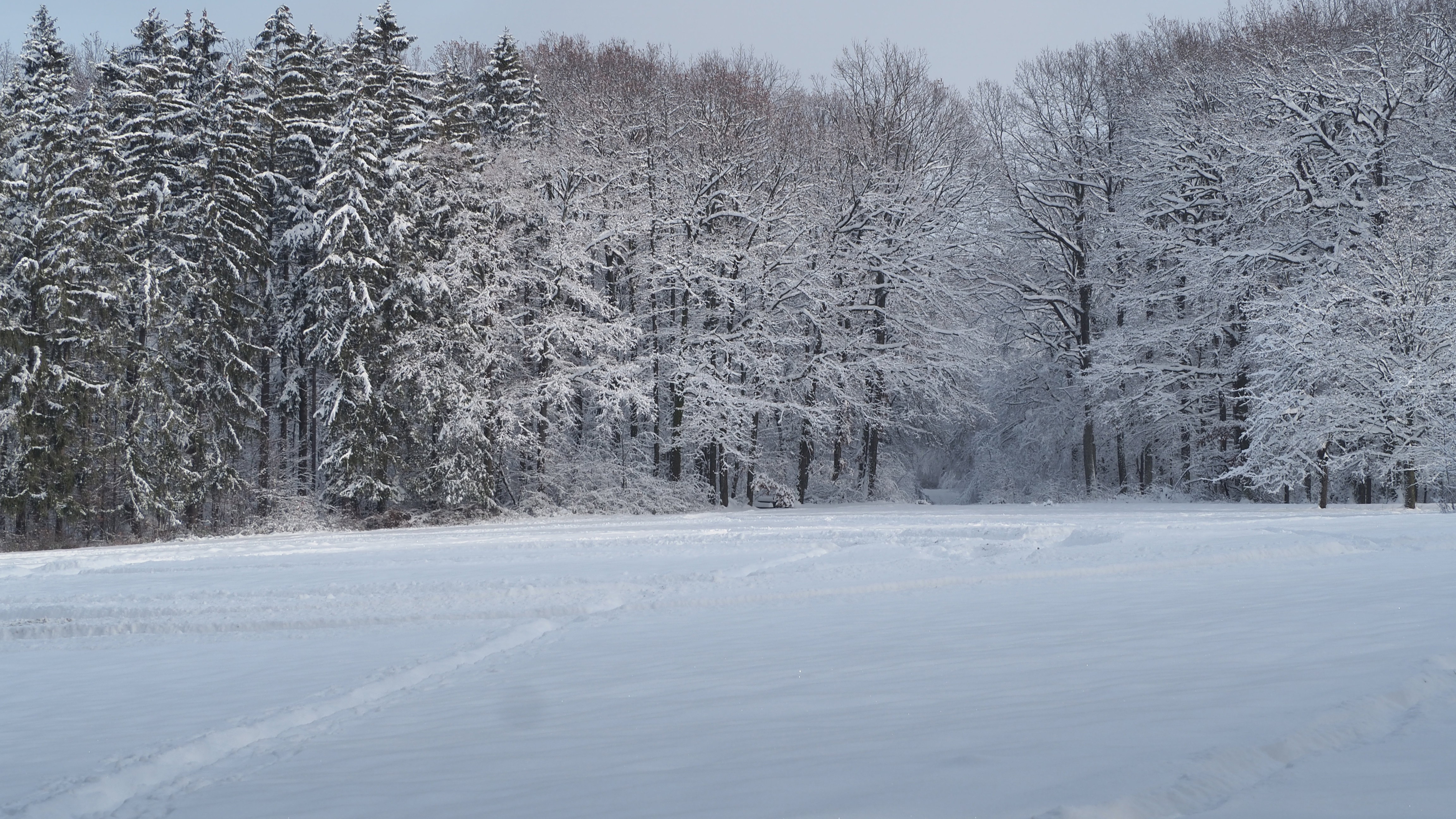 Winter 2020-2021 - It snowed