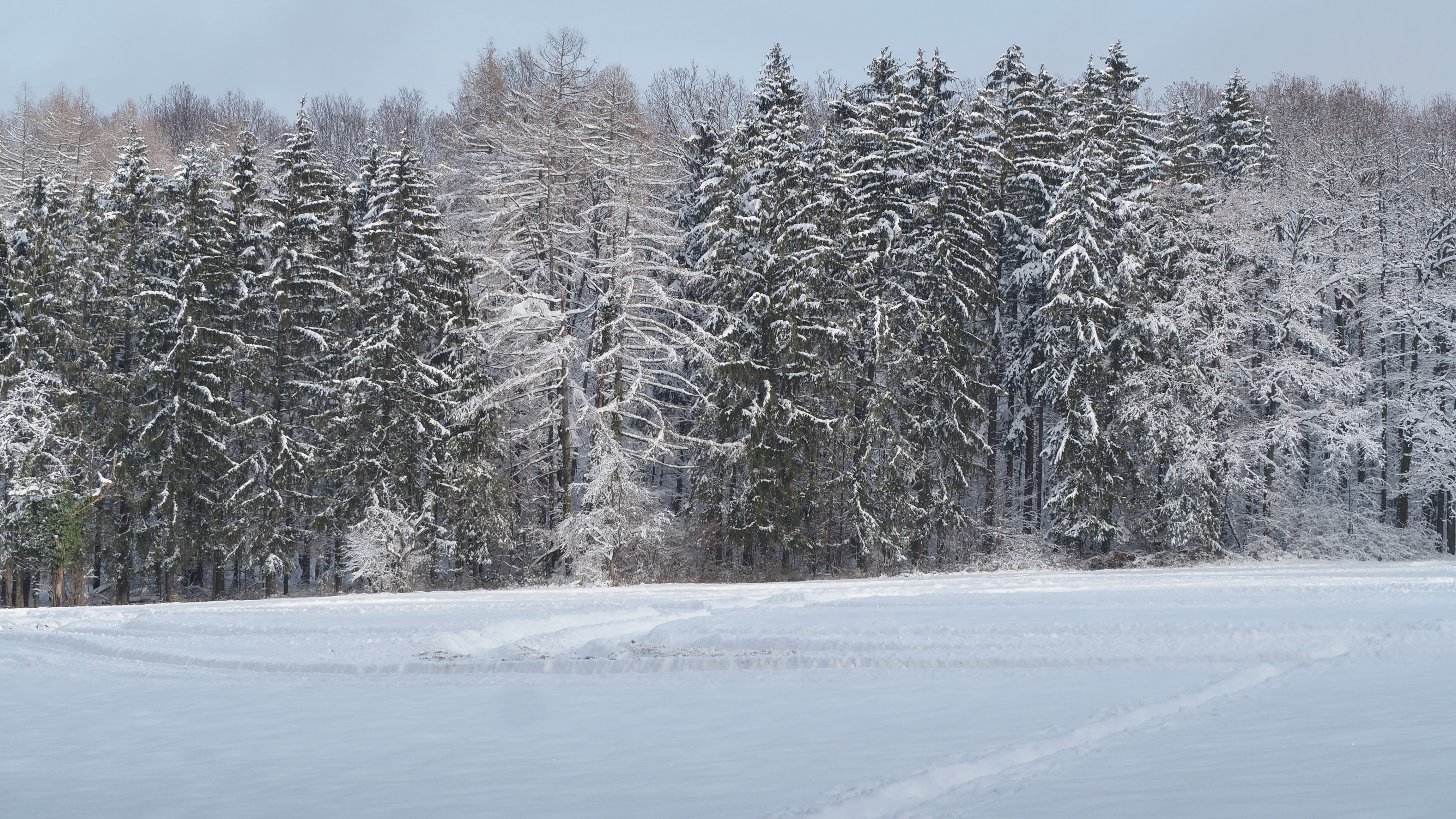 Winter 2020-2021 - It snowed