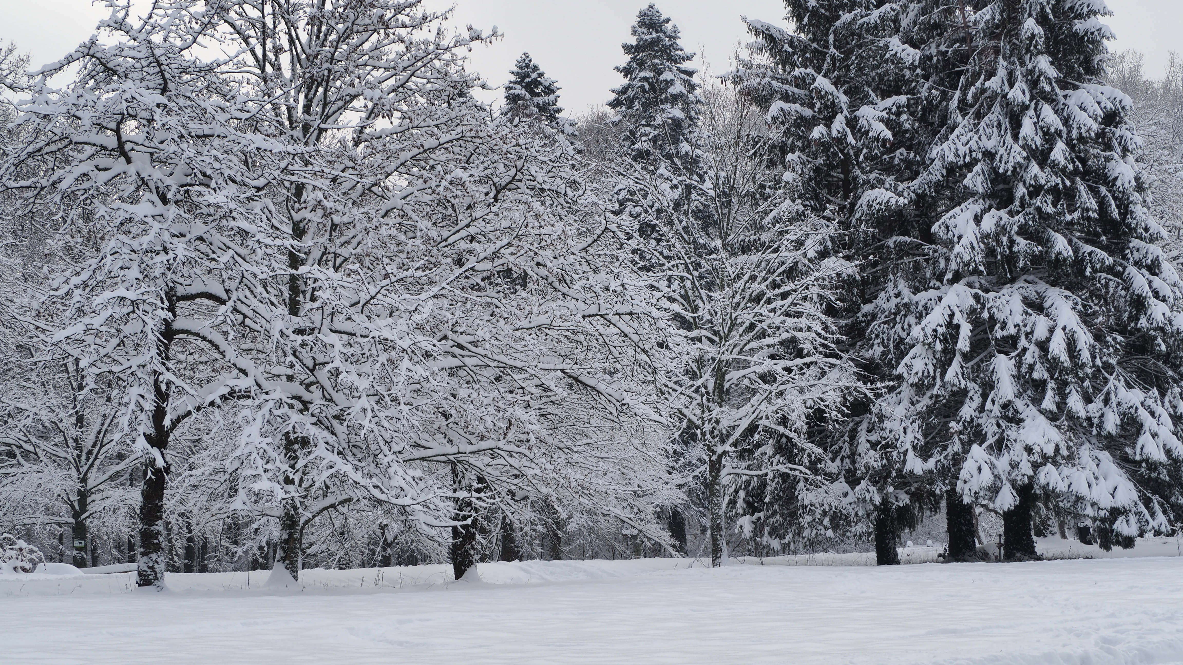 Winter 2020-2021 - It snowed