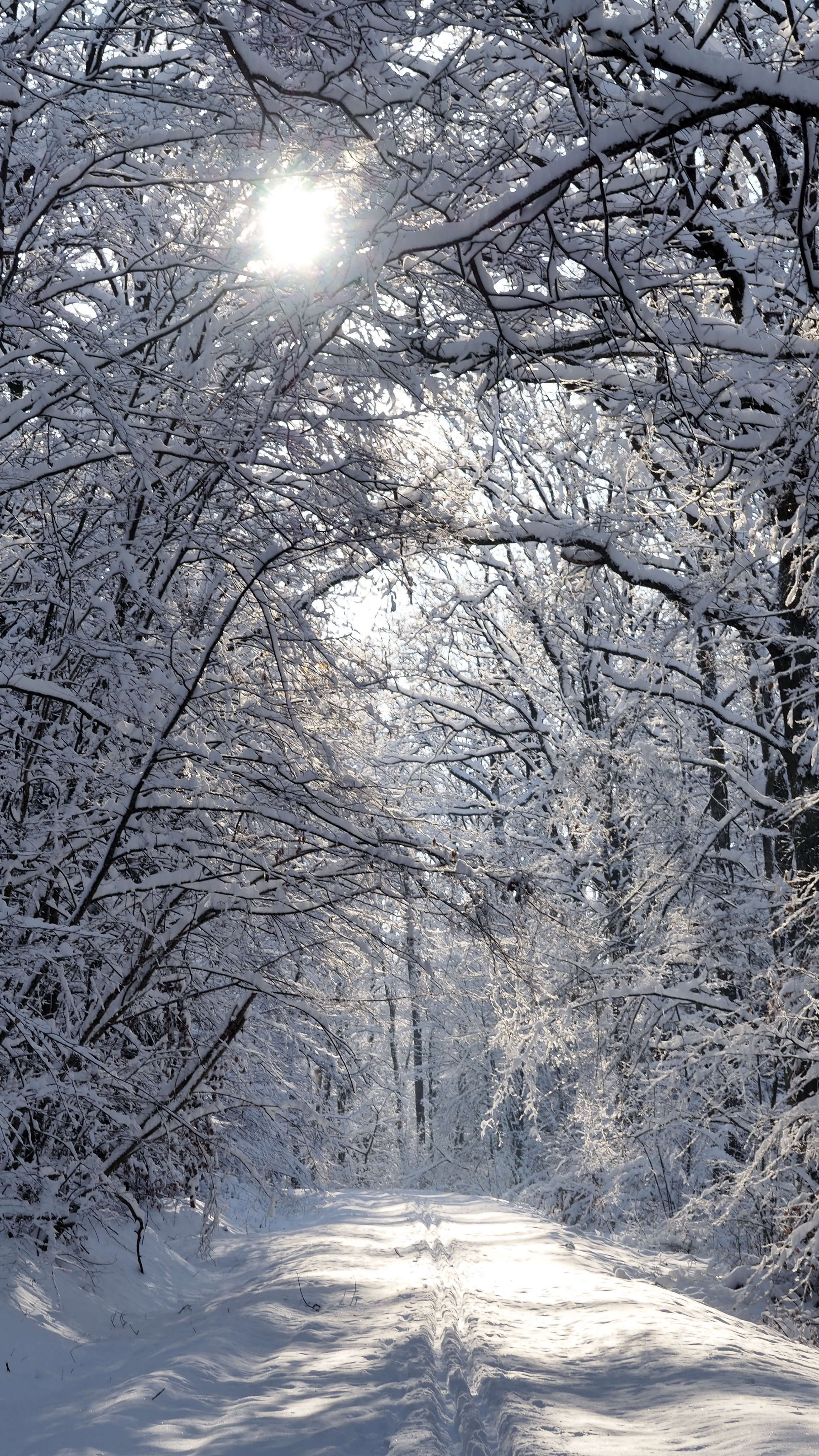 Winter 2020-2021 - It snowed