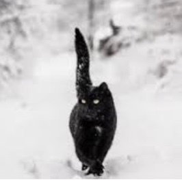 Winter 2020-2021 - It snowed