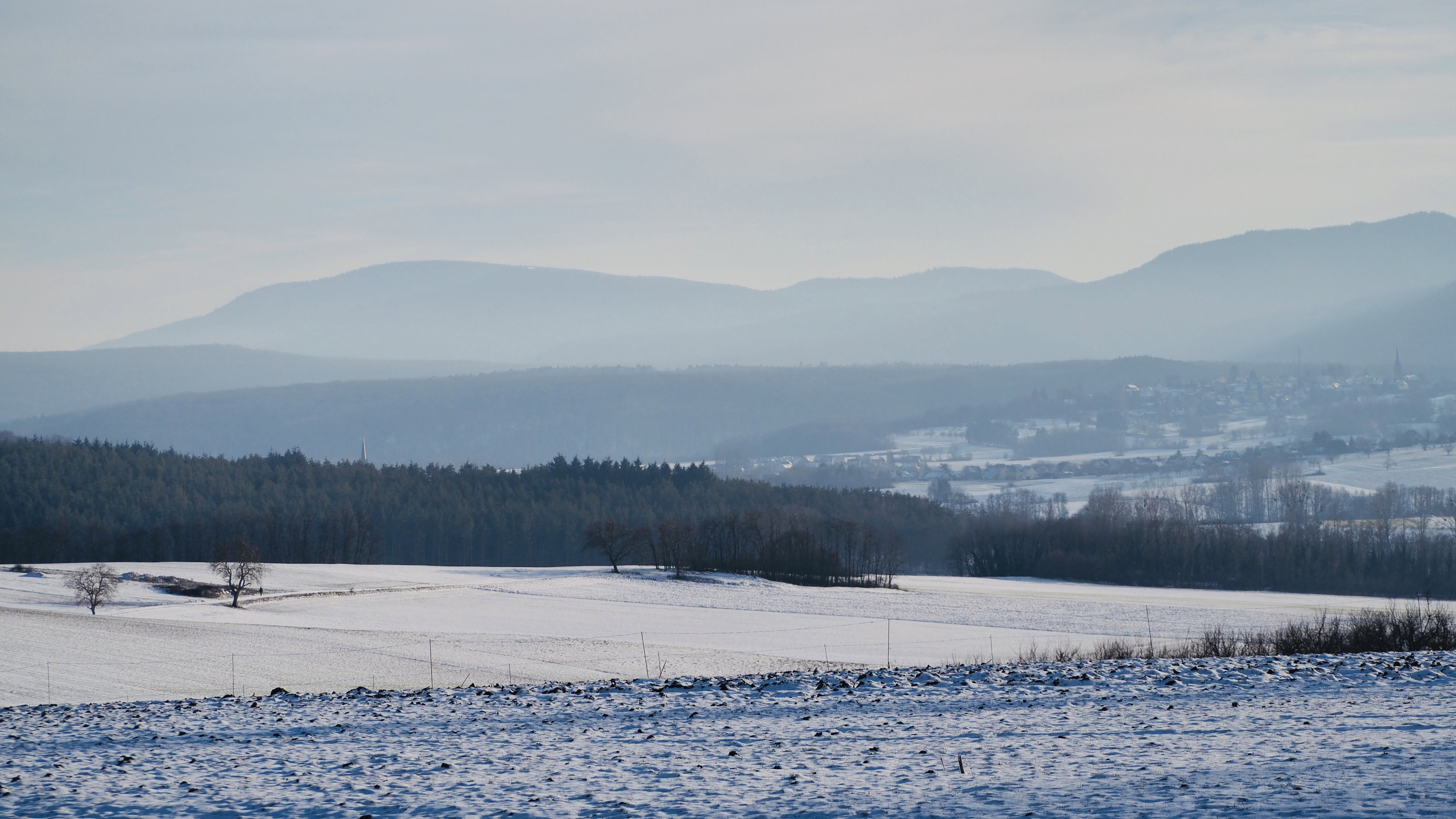 Everything passes, even in winter! Spring will return