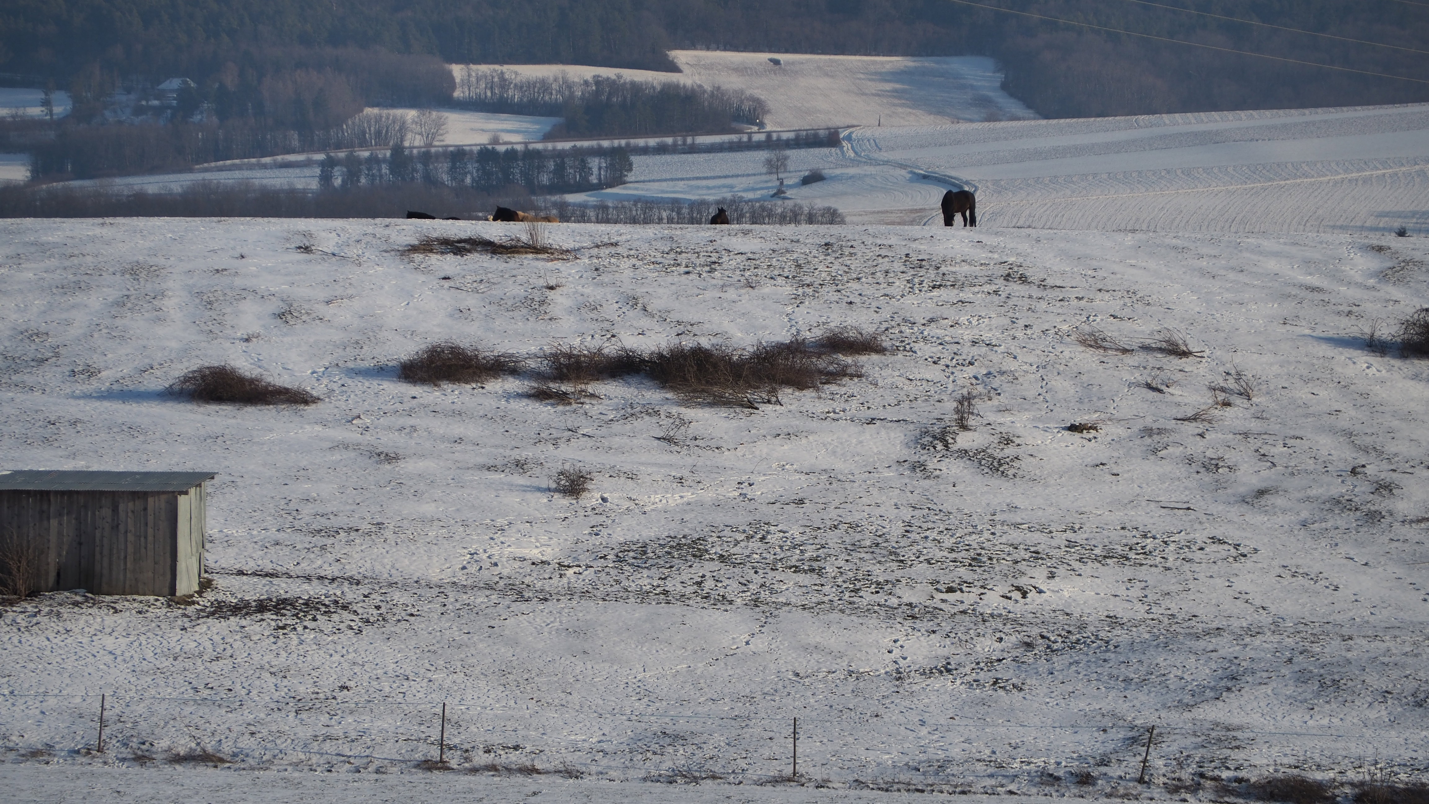Everything passes, even in winter! Spring will return