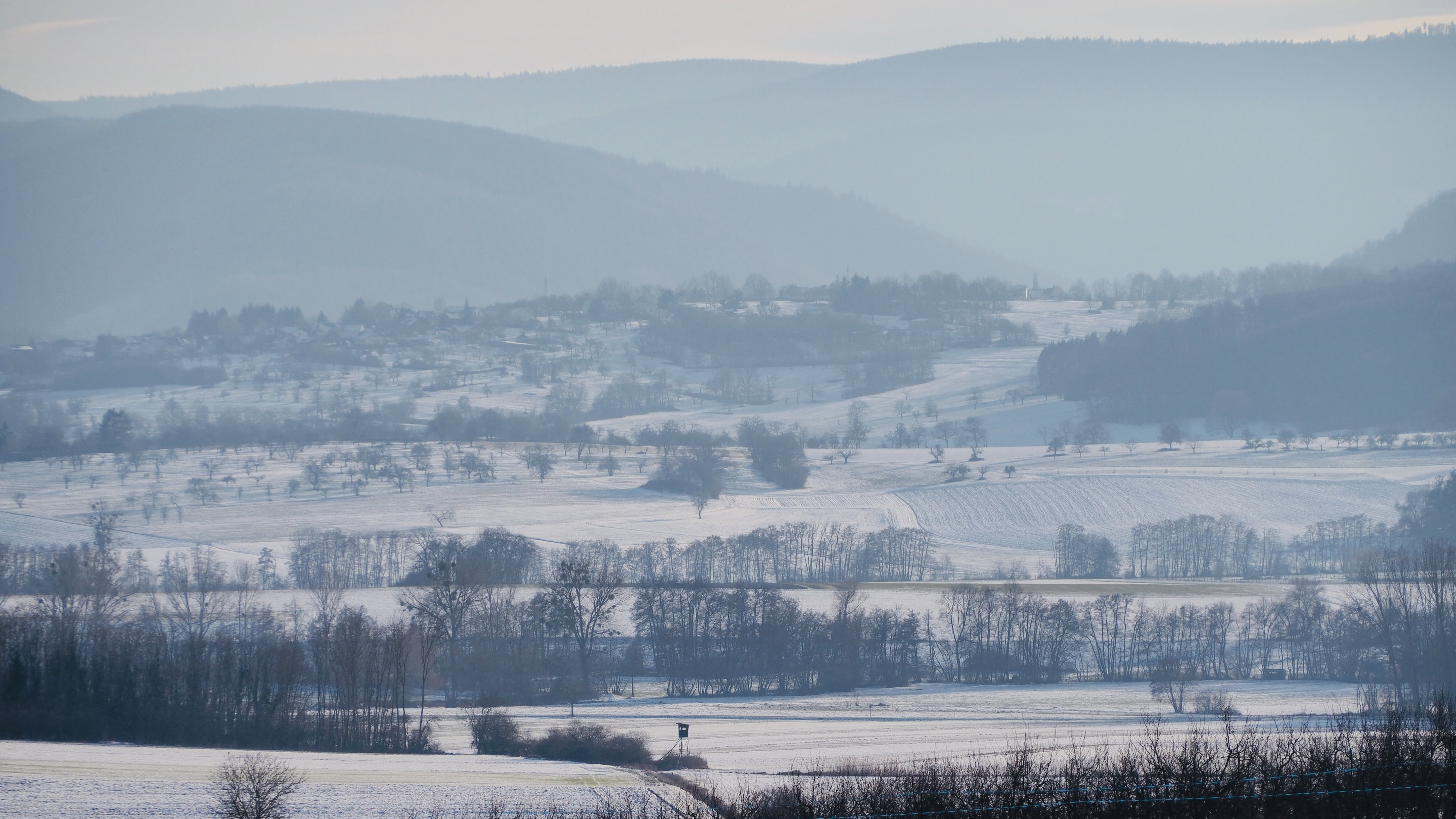 Everything passes, even in winter! Spring will return