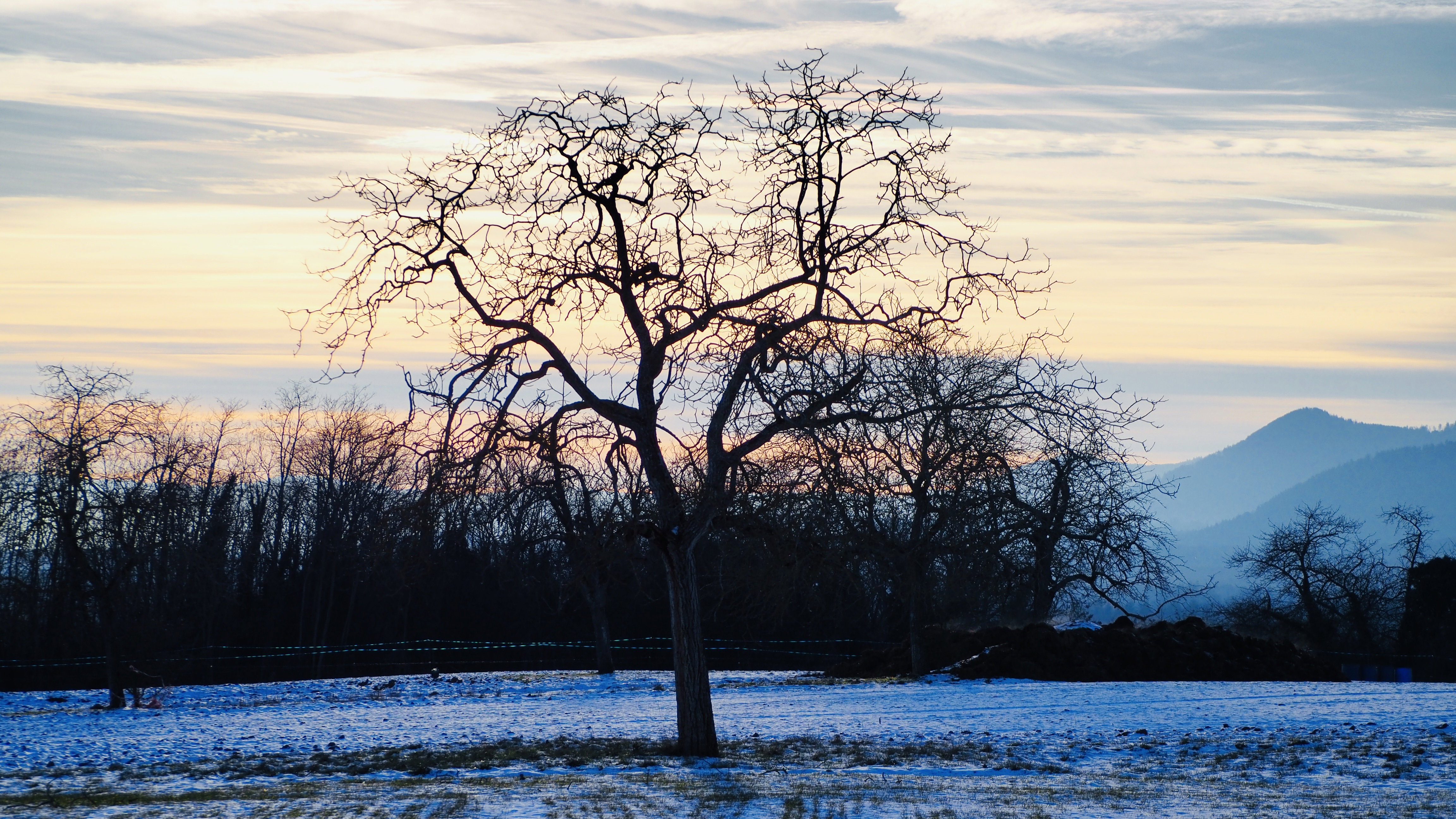 Everything passes, even in winter! Spring will return