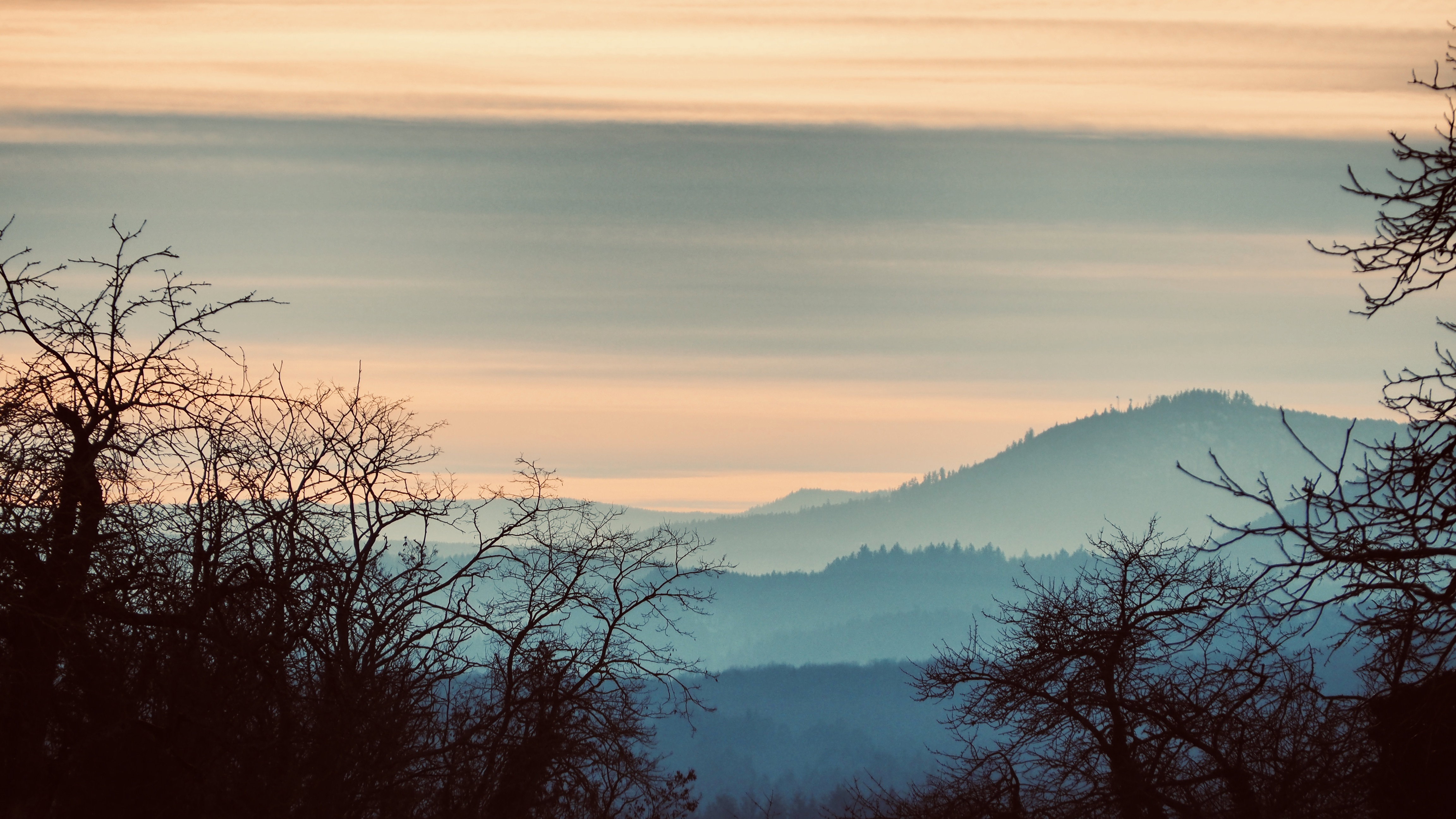 Everything passes, even in winter! Spring will return