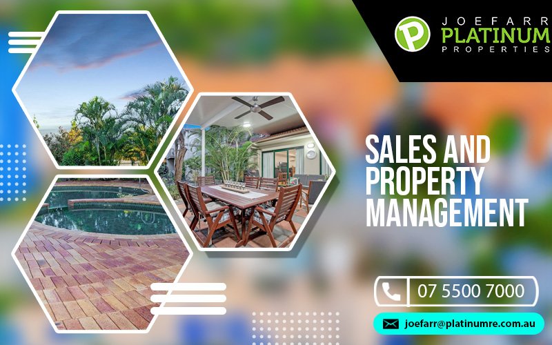 property agent in Gold Coast