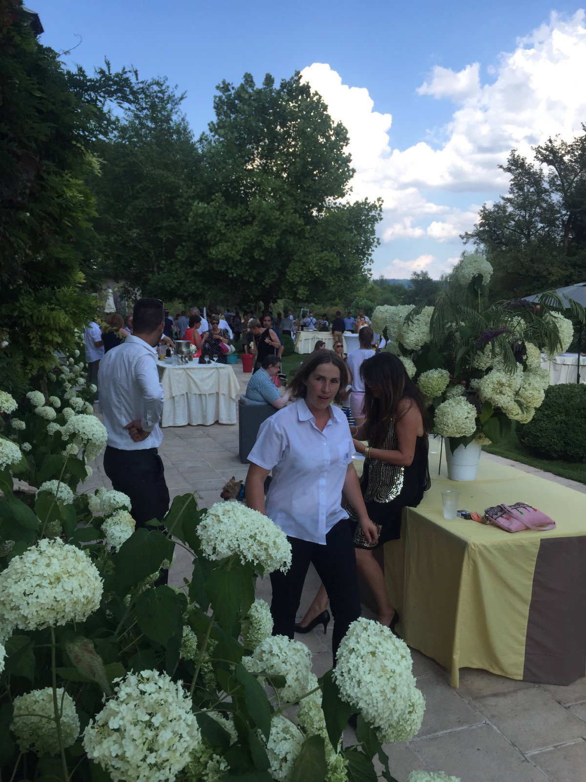 Pierre JOYAUX is one of the great PHILOSOPHIC GARDENERS of the moment with more than 40 years of private gardens realized in the castles and beautiful historic residences of Europe.