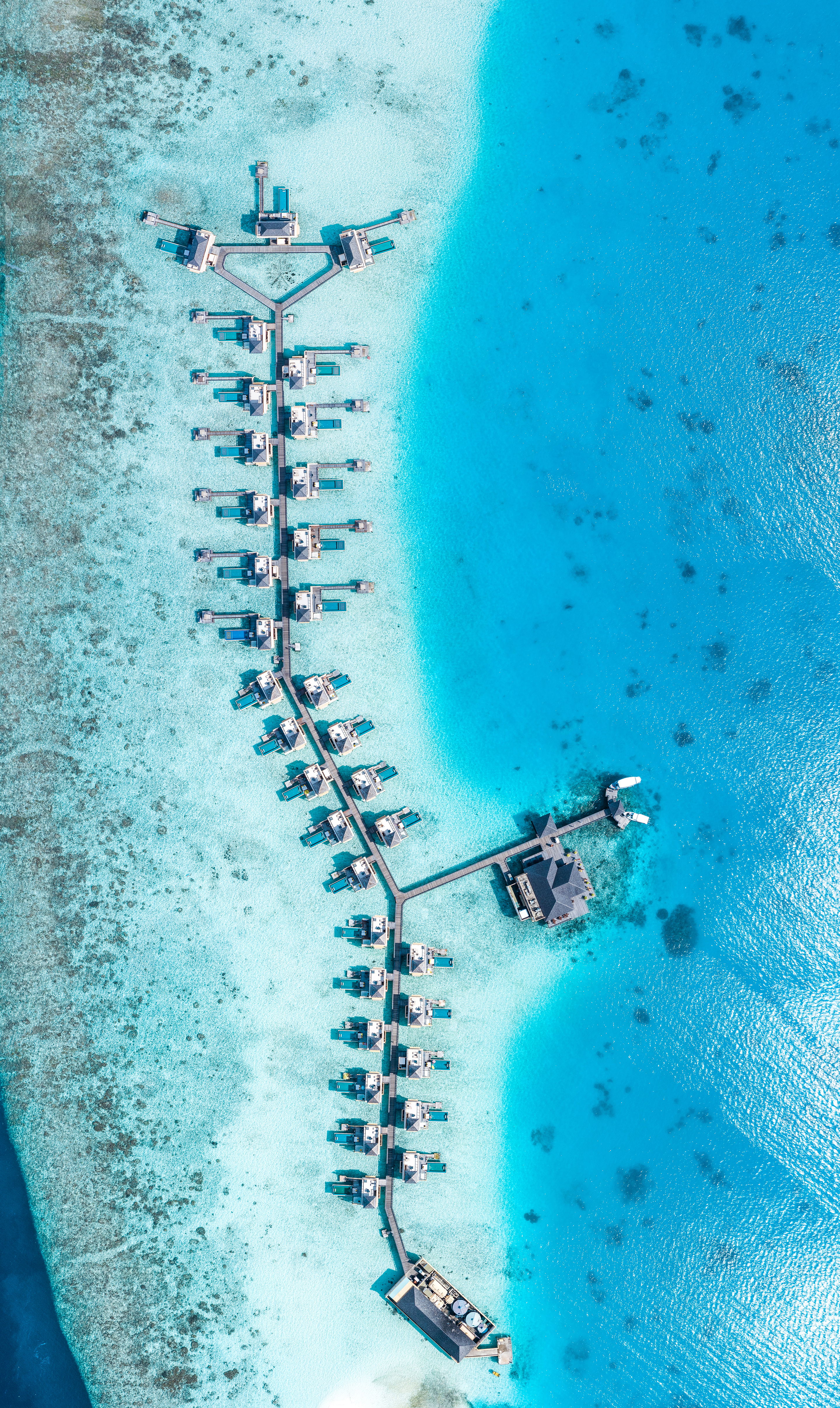 فيلا بمسبح InOcean