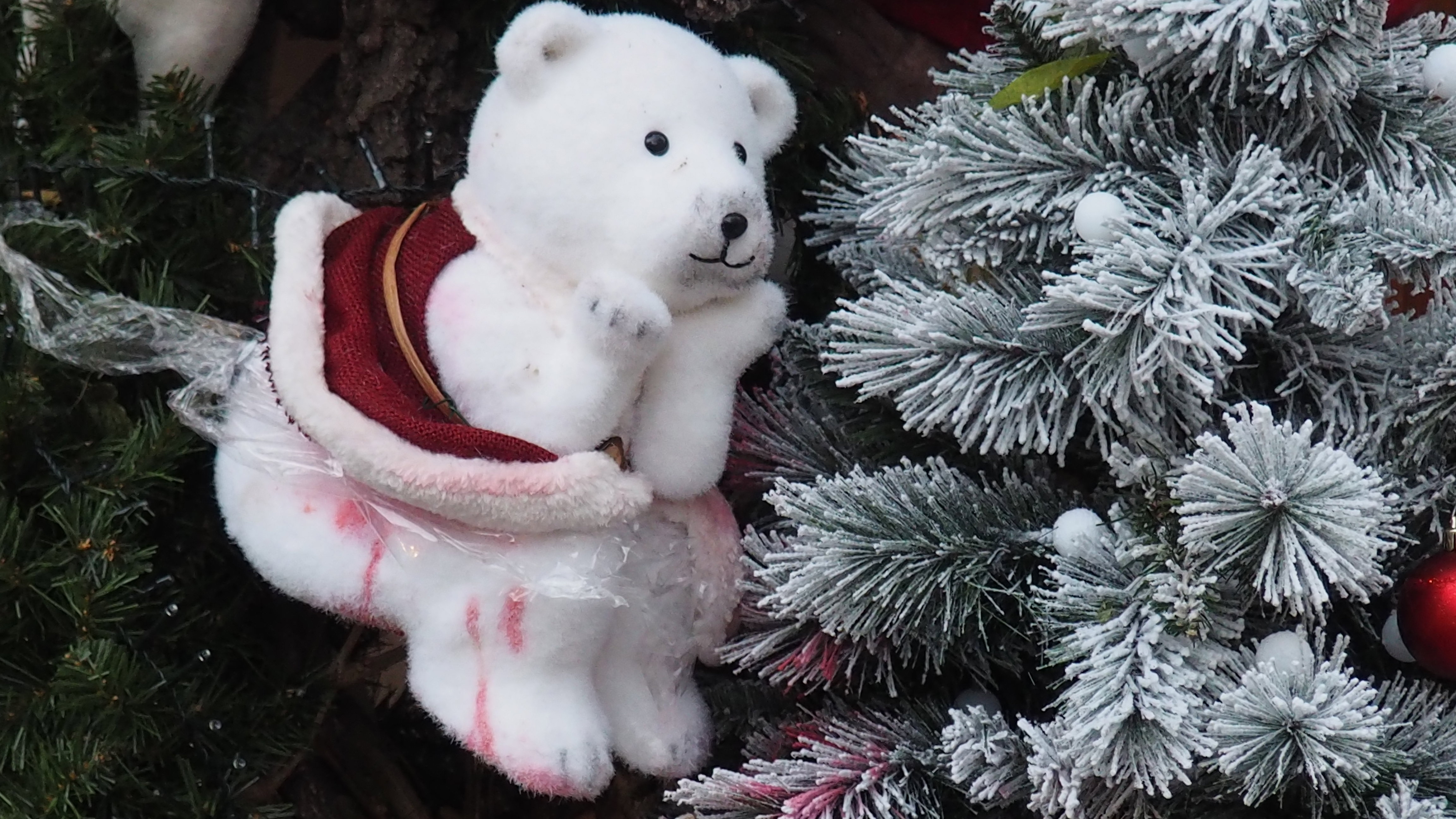 At Christmas